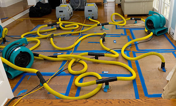 Professional Flood Damage Restoration technician working in Maysville, GA
